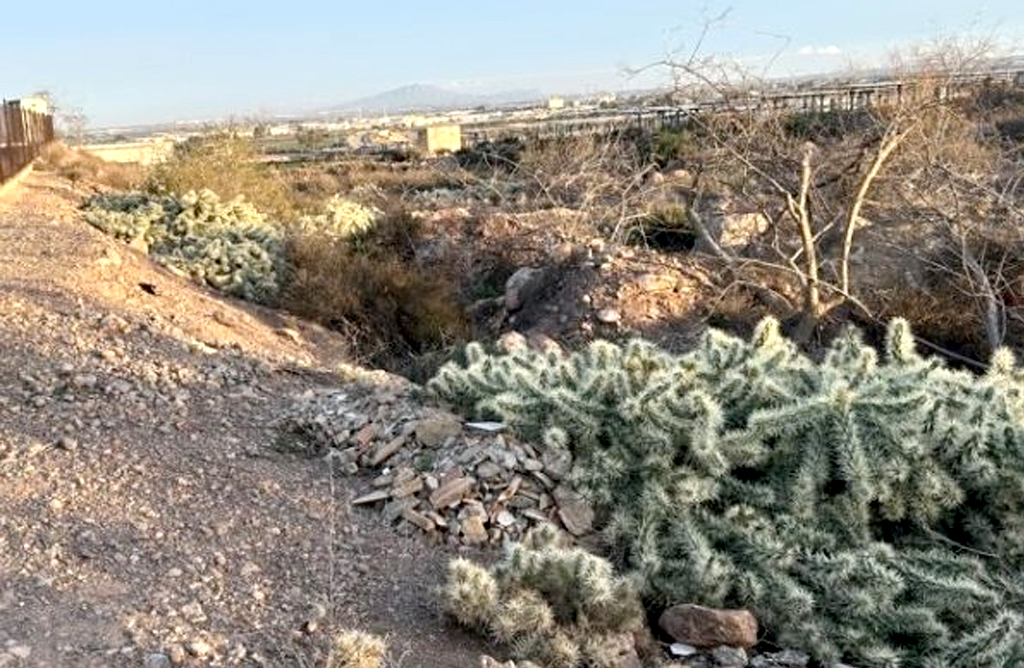 Una especie invasora vegetal sigue expandiéndose por el paraje de la Aceña del Hierro